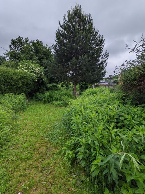 Maison en Vente sur ORSINVAL 16832.jpg
